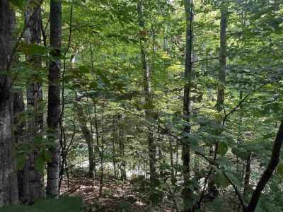 Residential Land For Sale in Harbor Springs, Michigan