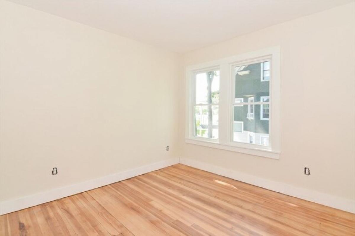 Picture of Apartment For Rent in Springfield, Massachusetts, United States