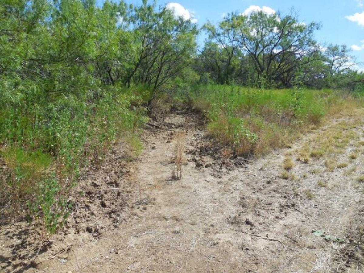 Picture of Residential Land For Sale in Ranger, Texas, United States