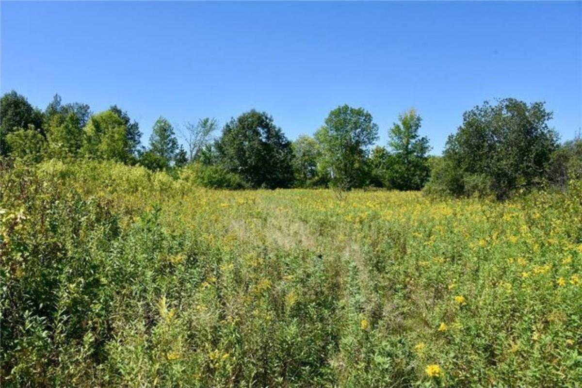 Picture of Residential Land For Sale in Foreston, Minnesota, United States