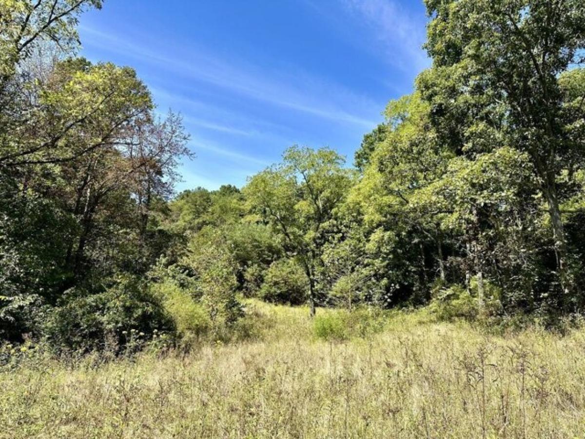 Picture of Residential Land For Sale in Patriot, Ohio, United States