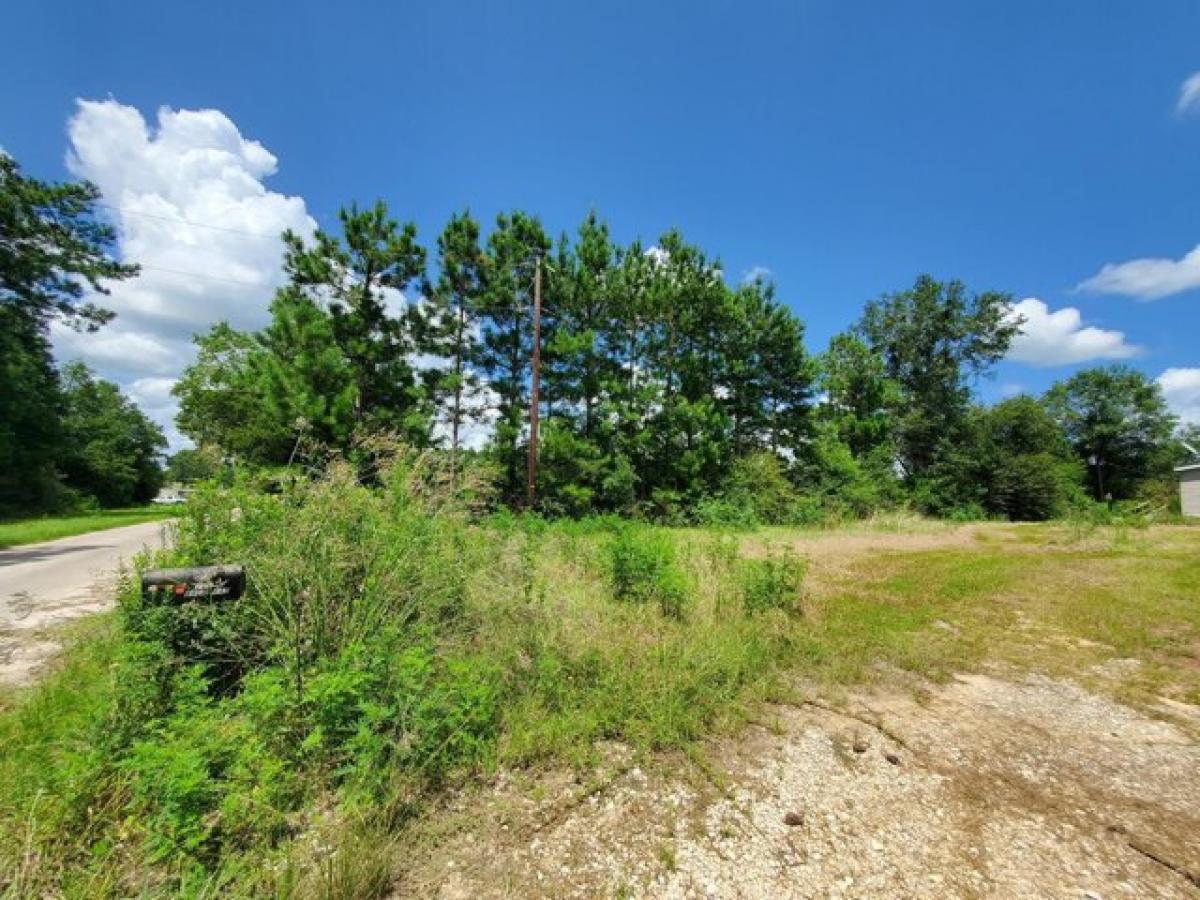 Picture of Residential Land For Rent in Deridder, Louisiana, United States