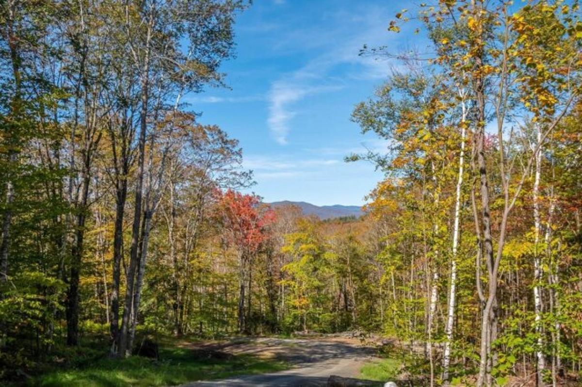 Picture of Residential Land For Sale in Rochester, Vermont, United States