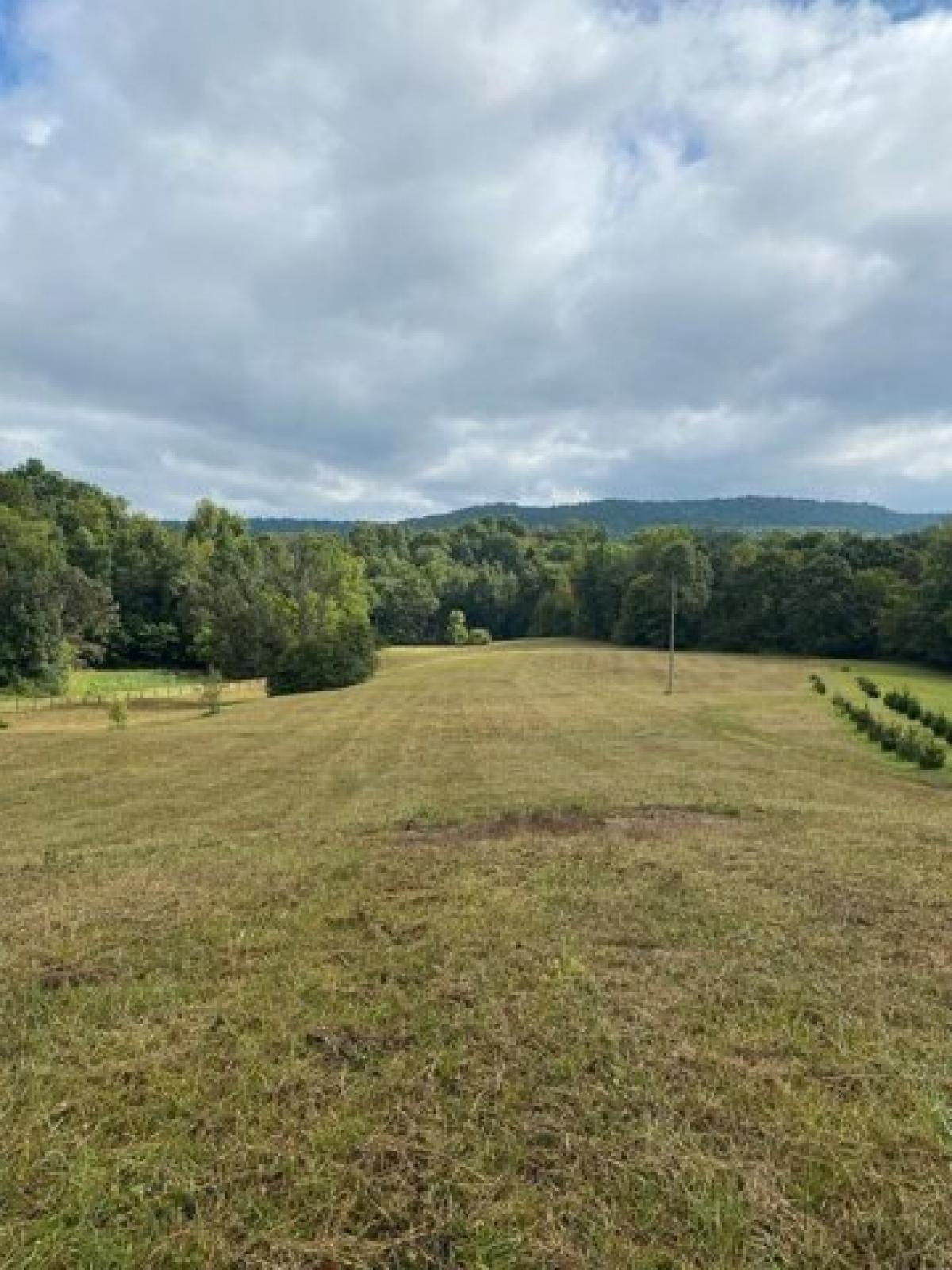 Picture of Residential Land For Sale in Rickman, Tennessee, United States