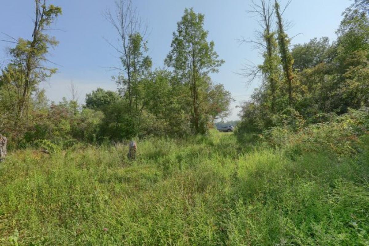 Picture of Residential Land For Sale in Attica, Michigan, United States