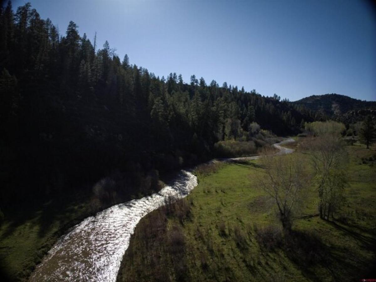 Picture of Residential Land For Sale in Pagosa Springs, Colorado, United States