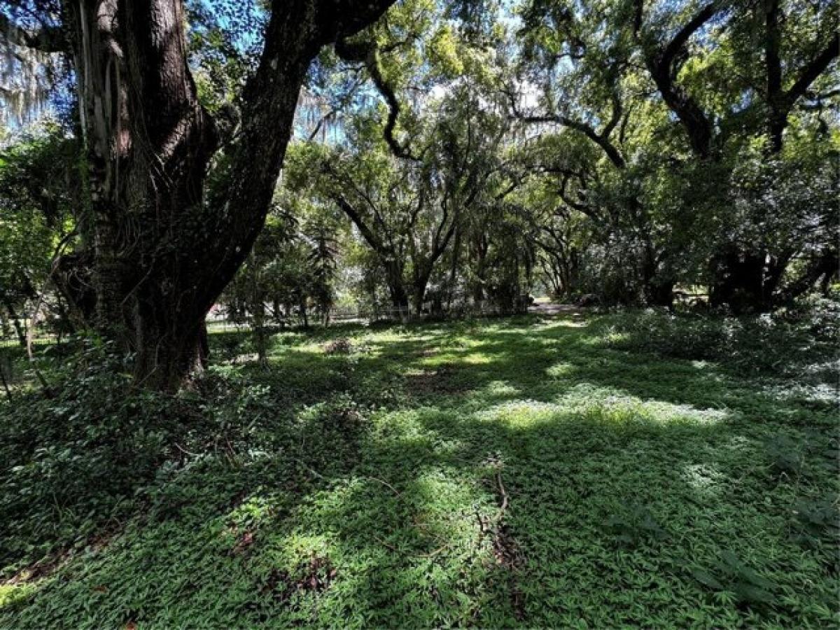 Picture of Residential Land For Sale in Mount Dora, Florida, United States