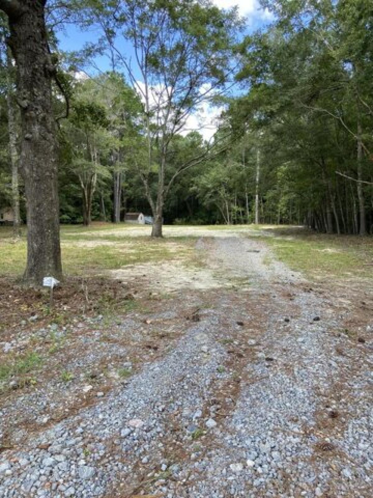 Picture of Residential Land For Sale in Johns Island, South Carolina, United States