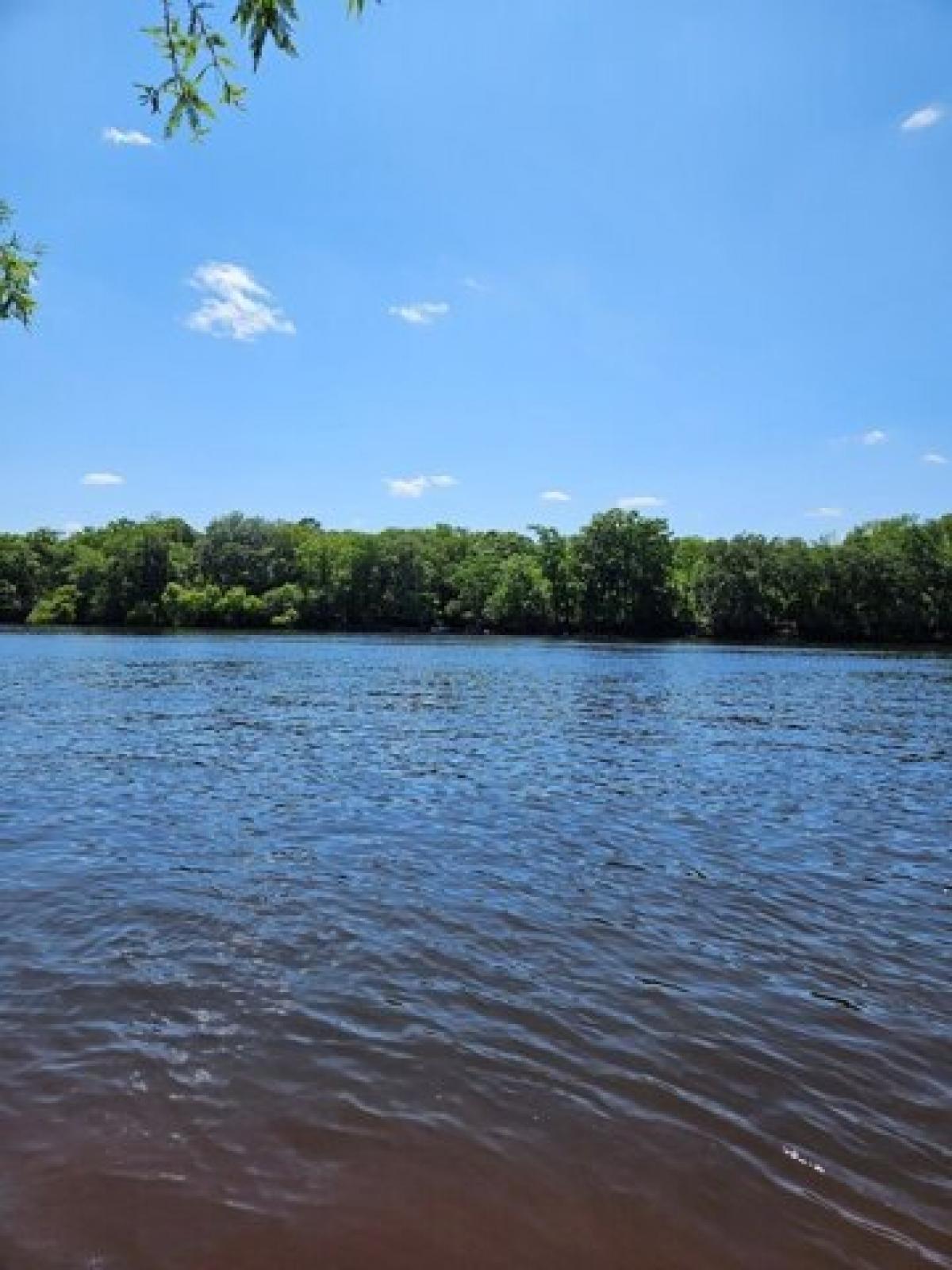 Picture of Residential Land For Sale in Bell, Florida, United States