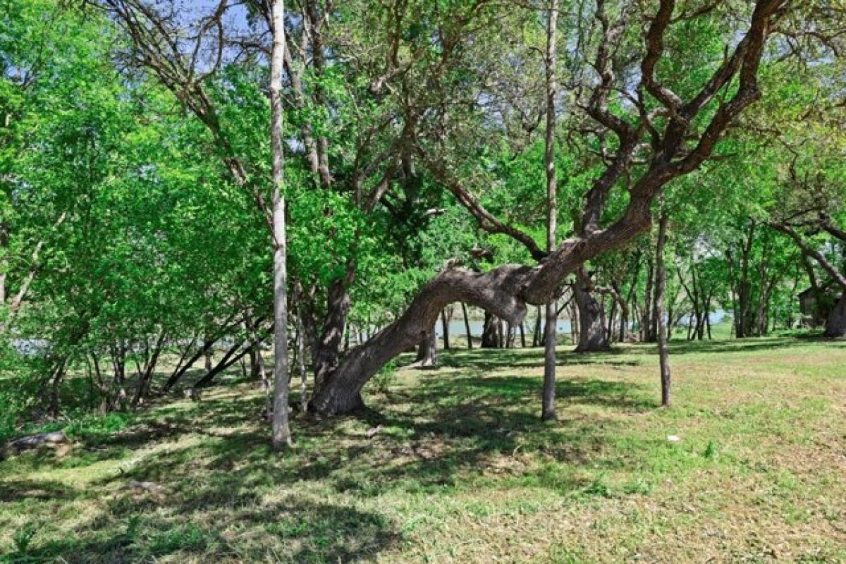 Picture of Residential Land For Sale in Fredericksburg, Texas, United States