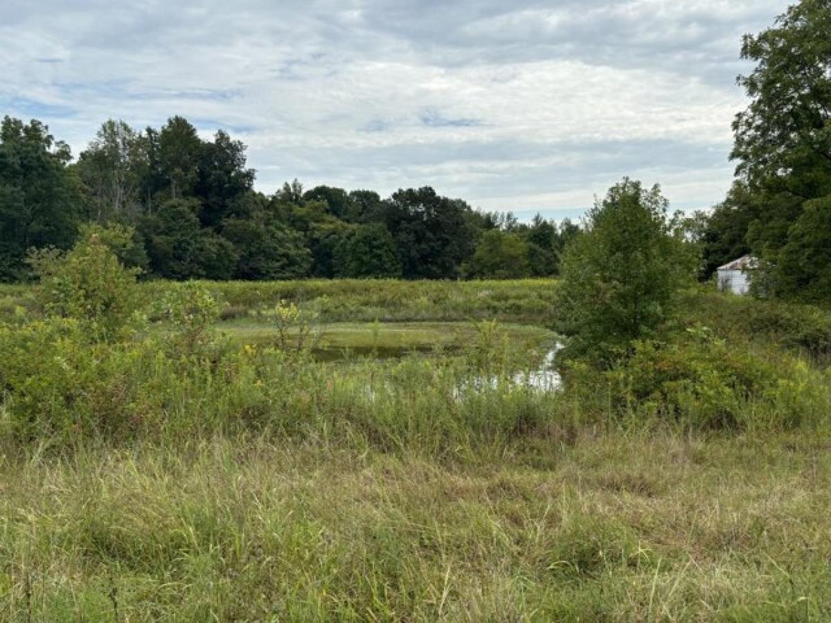 Picture of Residential Land For Sale in Ashland City, Tennessee, United States