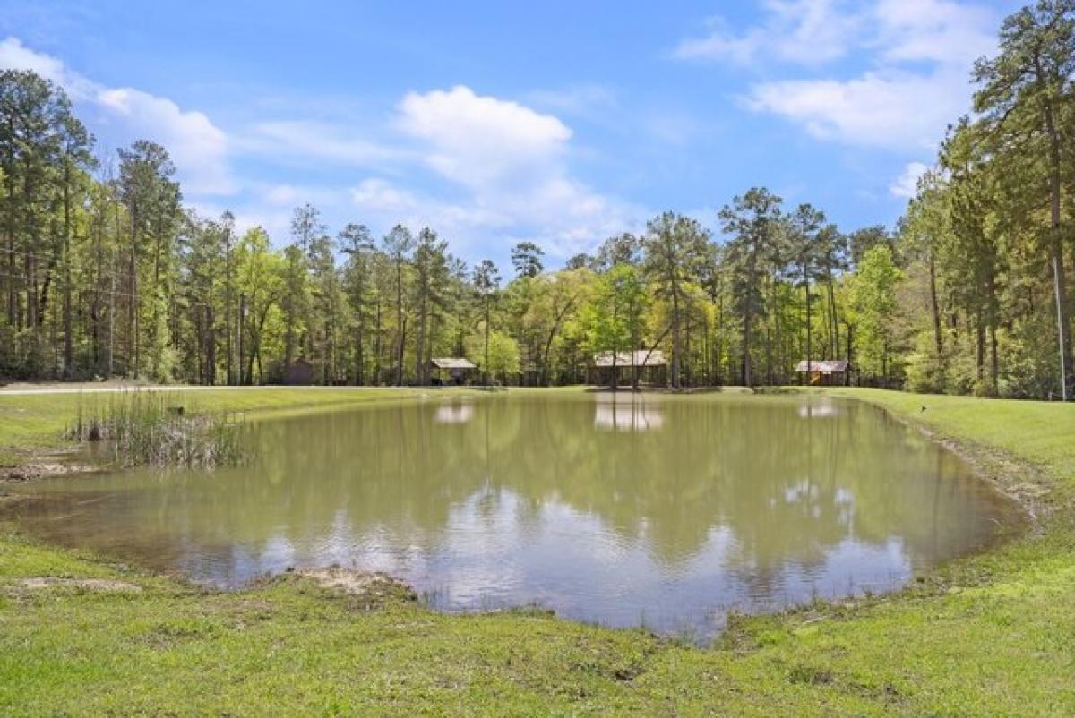 Picture of Residential Land For Sale in Huntsville, Texas, United States