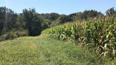 Residential Land For Sale in Stockton, Illinois