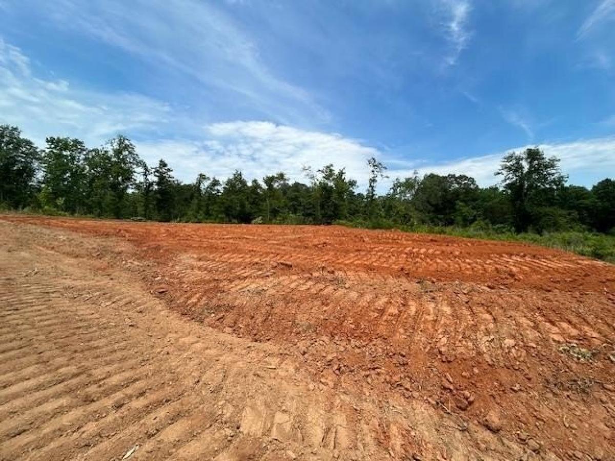 Picture of Residential Land For Sale in Waynesboro, Mississippi, United States