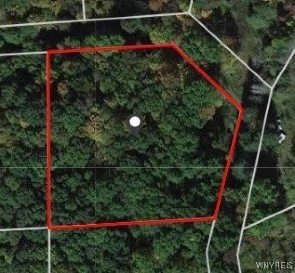 Picture of Residential Land For Sale in East Otto, New York, United States