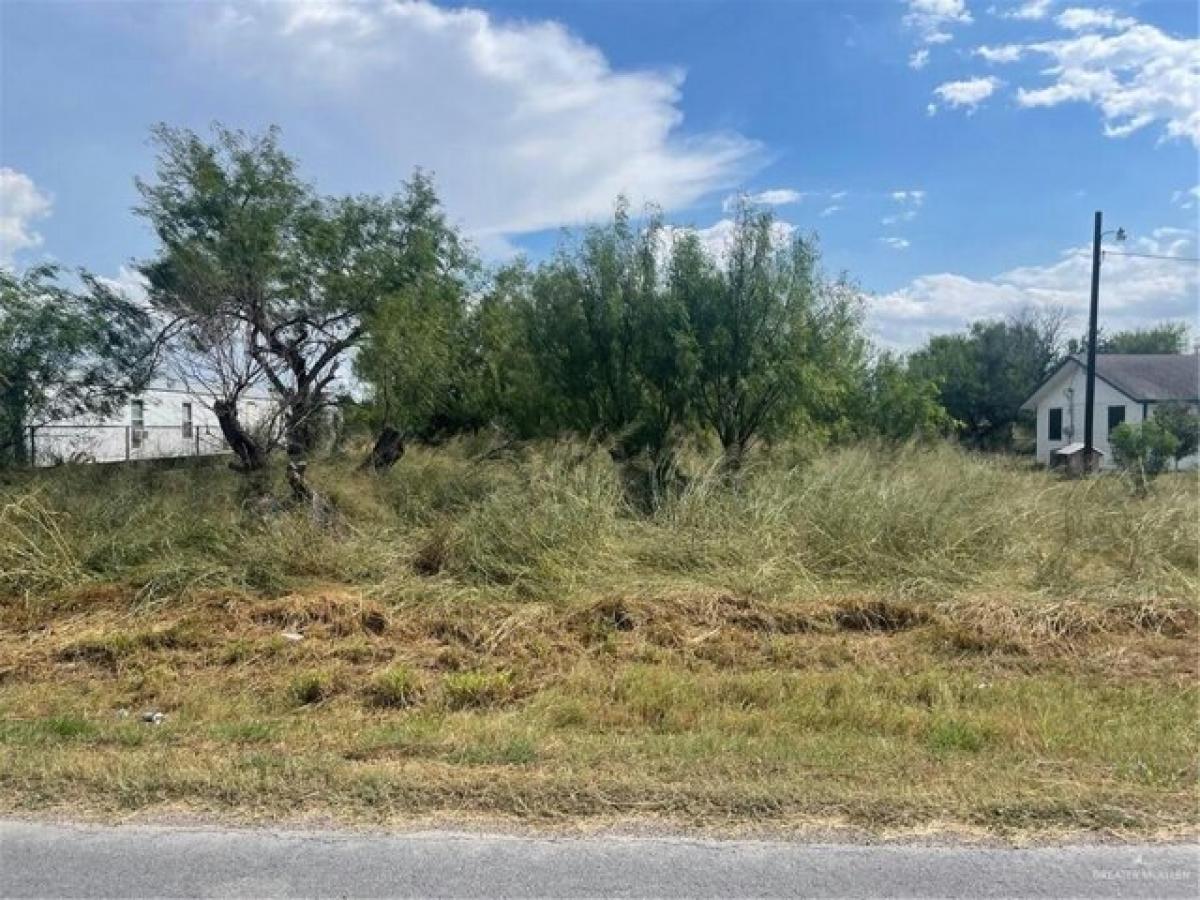 Picture of Residential Land For Sale in Edinburg, Texas, United States