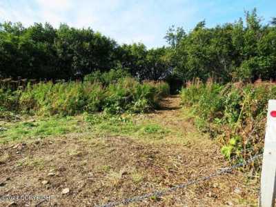 Residential Land For Sale in Anchor Point, Alaska