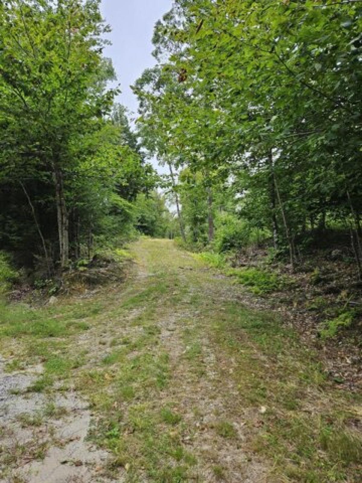 Picture of Residential Land For Sale in Buckfield, Maine, United States