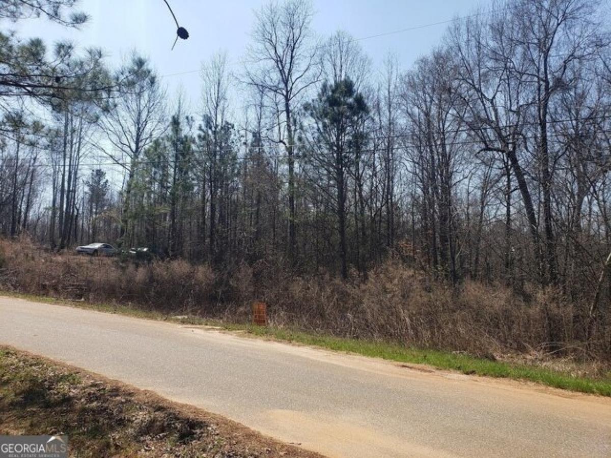 Picture of Residential Land For Sale in Athens, Georgia, United States