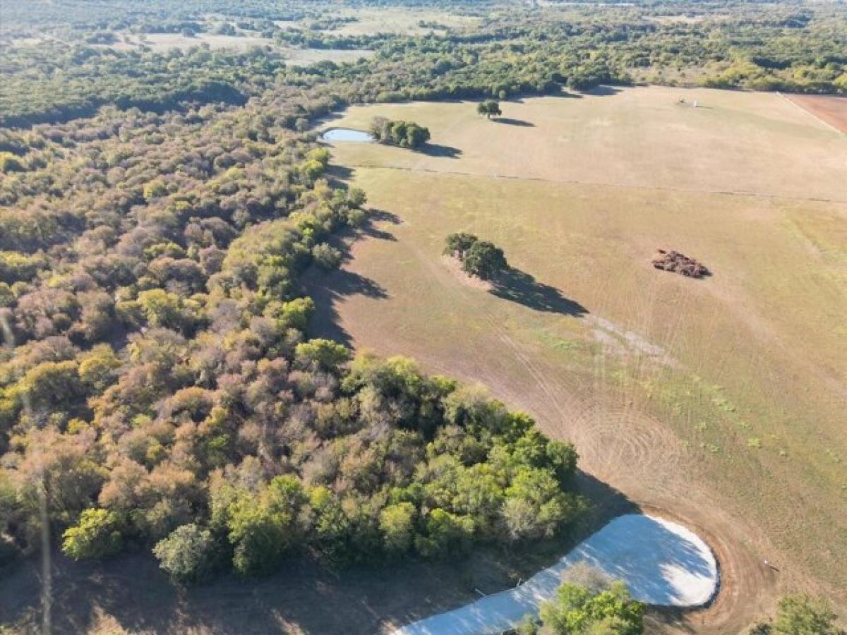 Picture of Residential Land For Sale in Gainesville, Texas, United States