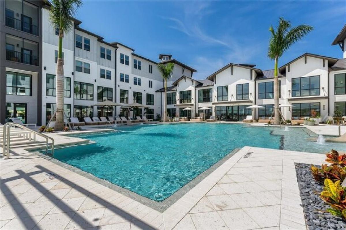 Picture of Apartment For Rent in Sarasota, Florida, United States