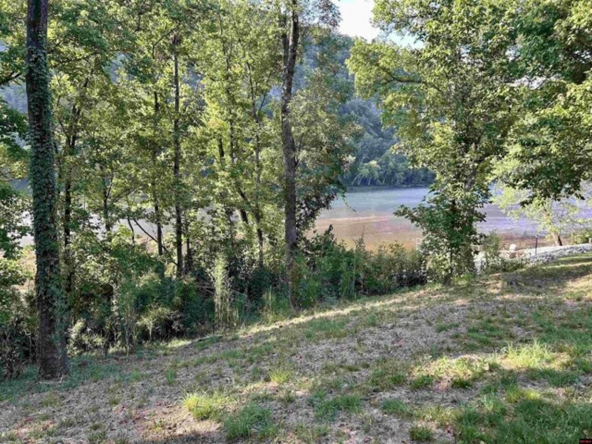 Picture of Residential Land For Sale in Cotter, Arkansas, United States