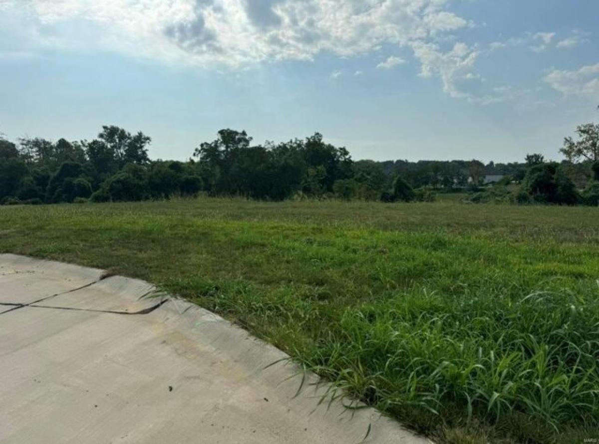 Picture of Residential Land For Sale in Shiloh, Illinois, United States