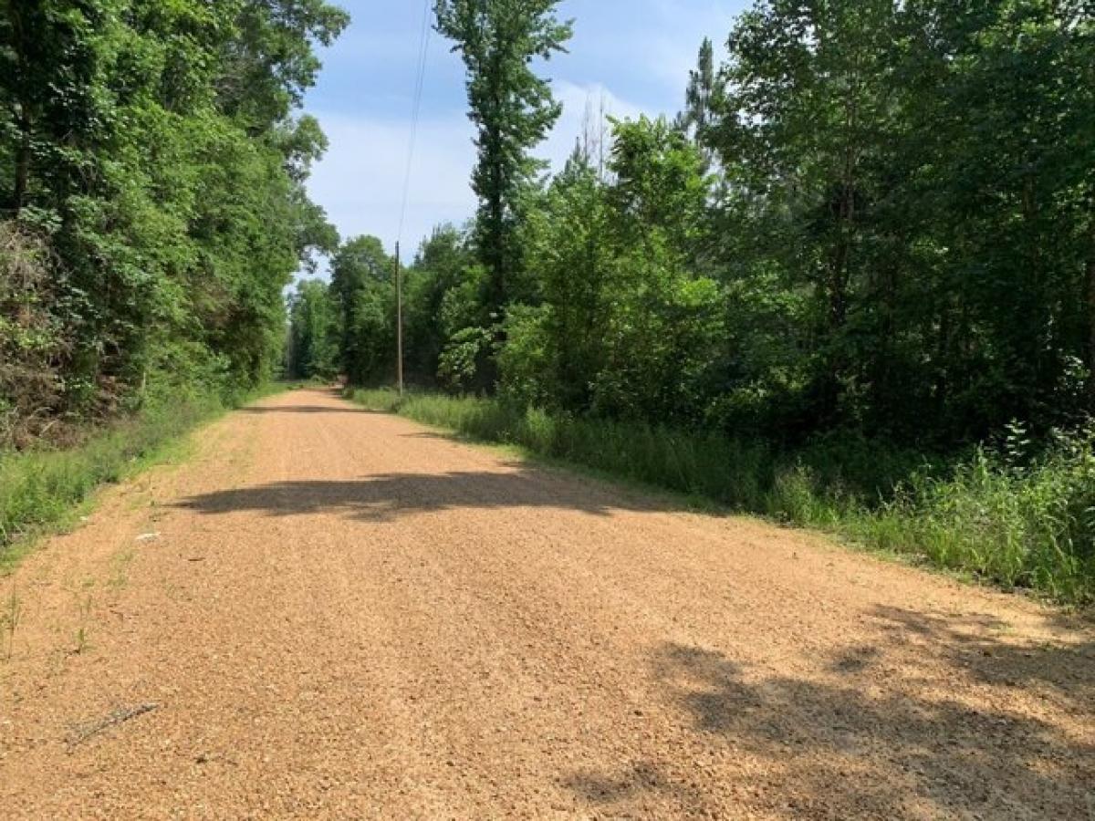 Picture of Residential Land For Sale in Wesson, Mississippi, United States