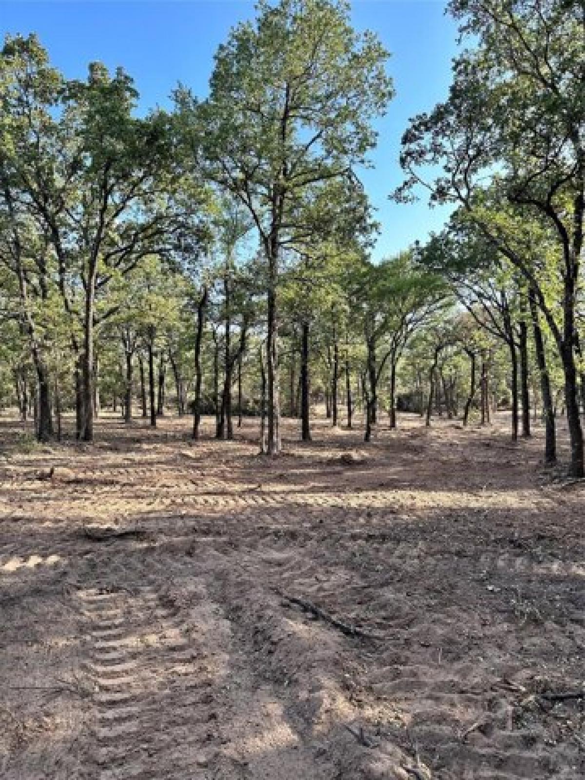 Picture of Residential Land For Sale in Rio Vista, Texas, United States