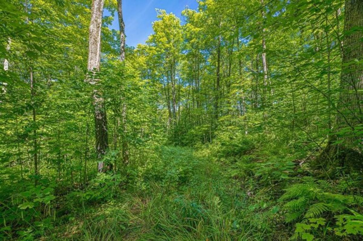 Picture of Residential Land For Sale in Marenisco, Michigan, United States