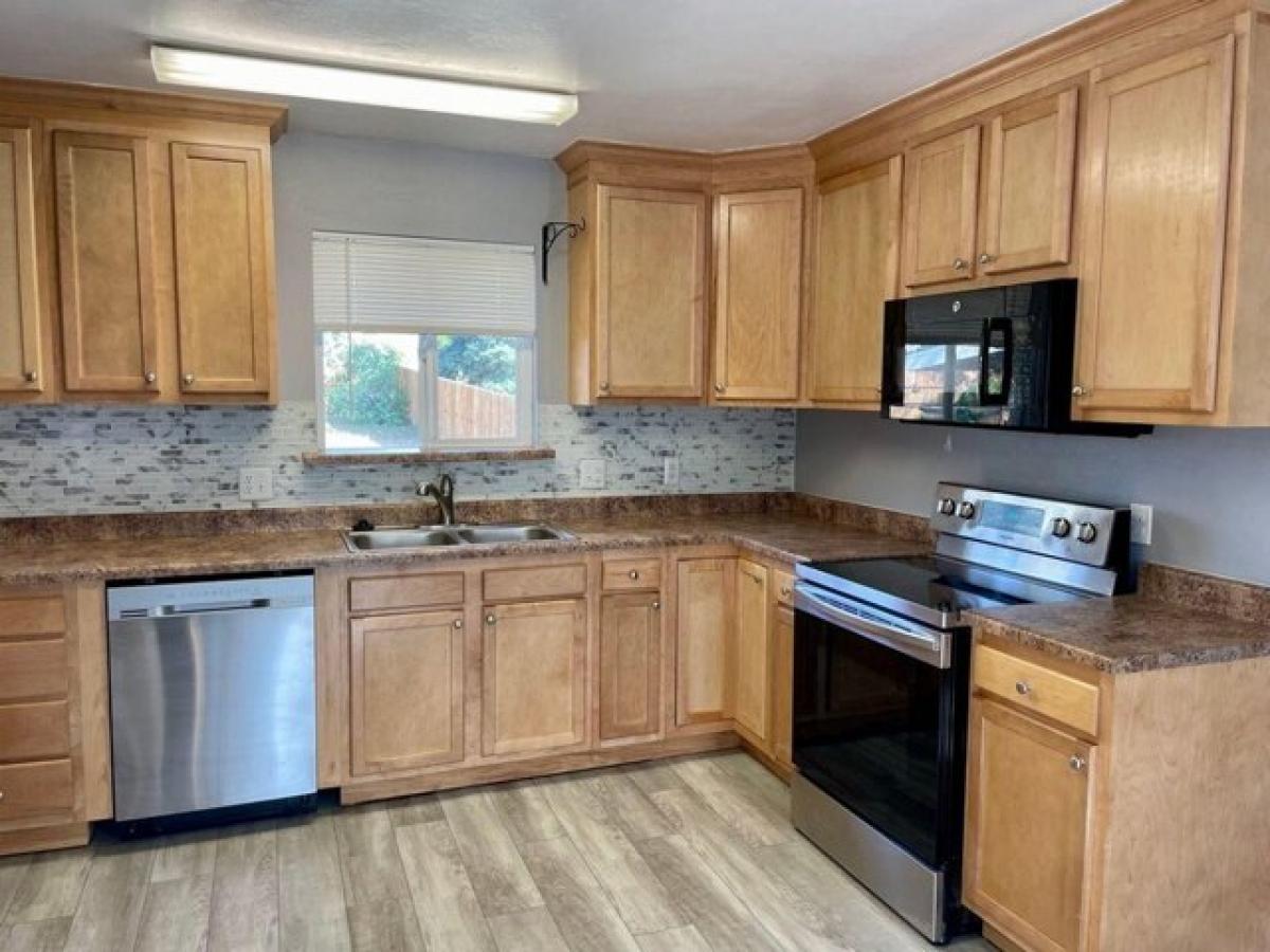 Picture of Home For Rent in Colorado Springs, Colorado, United States