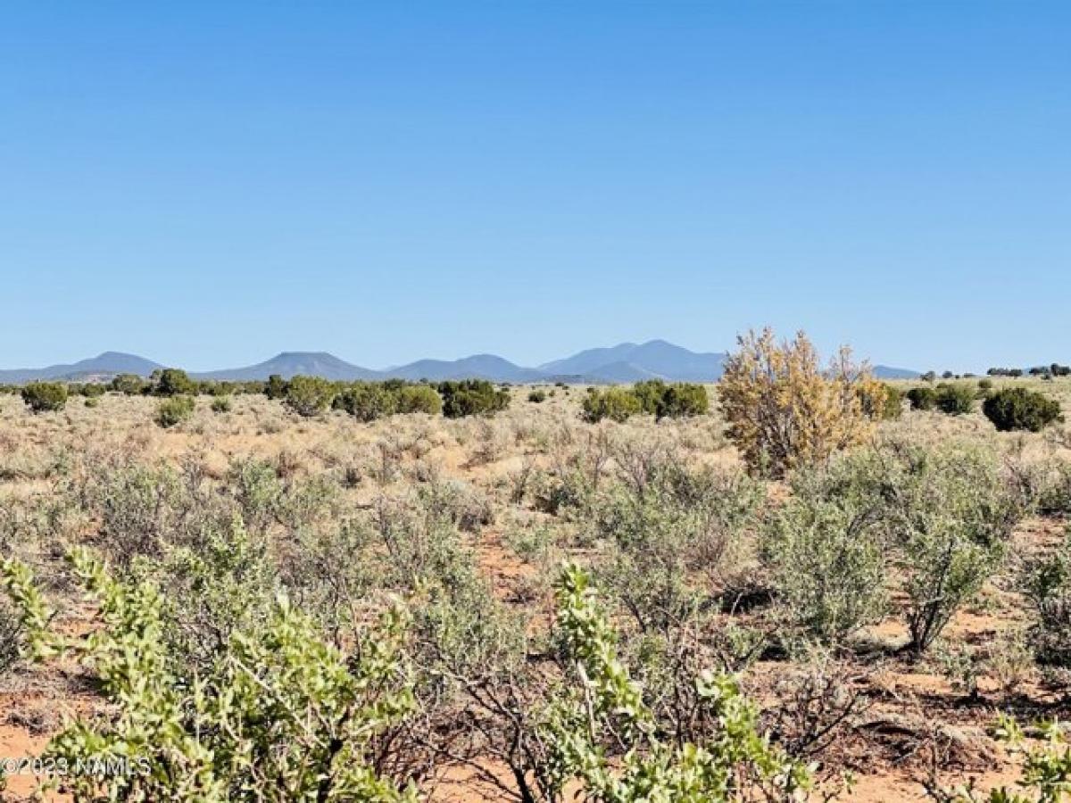 Picture of Residential Land For Sale in Williams, Arizona, United States