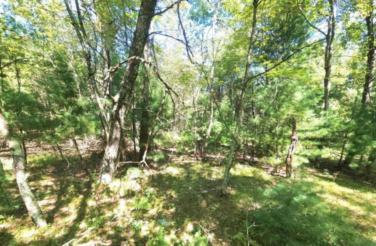 Picture of Residential Land For Sale in Hixton, Wisconsin, United States