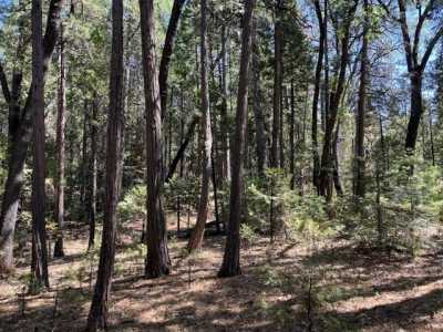 Residential Land For Sale in Shingletown, California