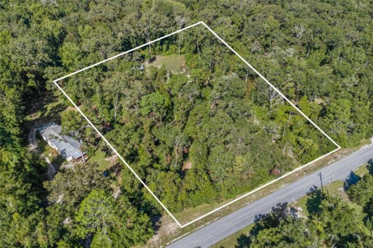 Picture of Residential Land For Sale in Fort White, Florida, United States