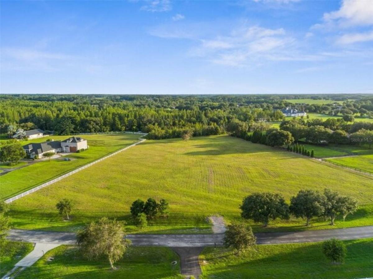 Picture of Residential Land For Sale in Odessa, Florida, United States