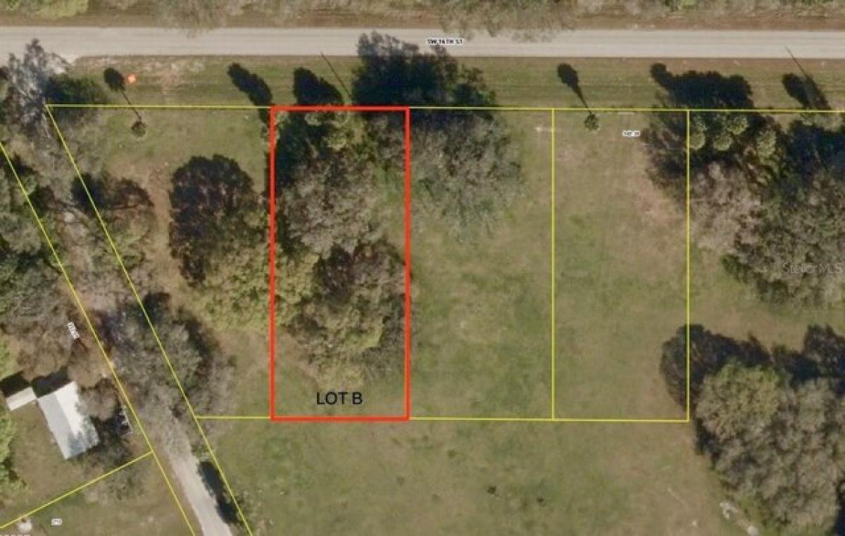 Picture of Residential Land For Sale in Okeechobee, Florida, United States