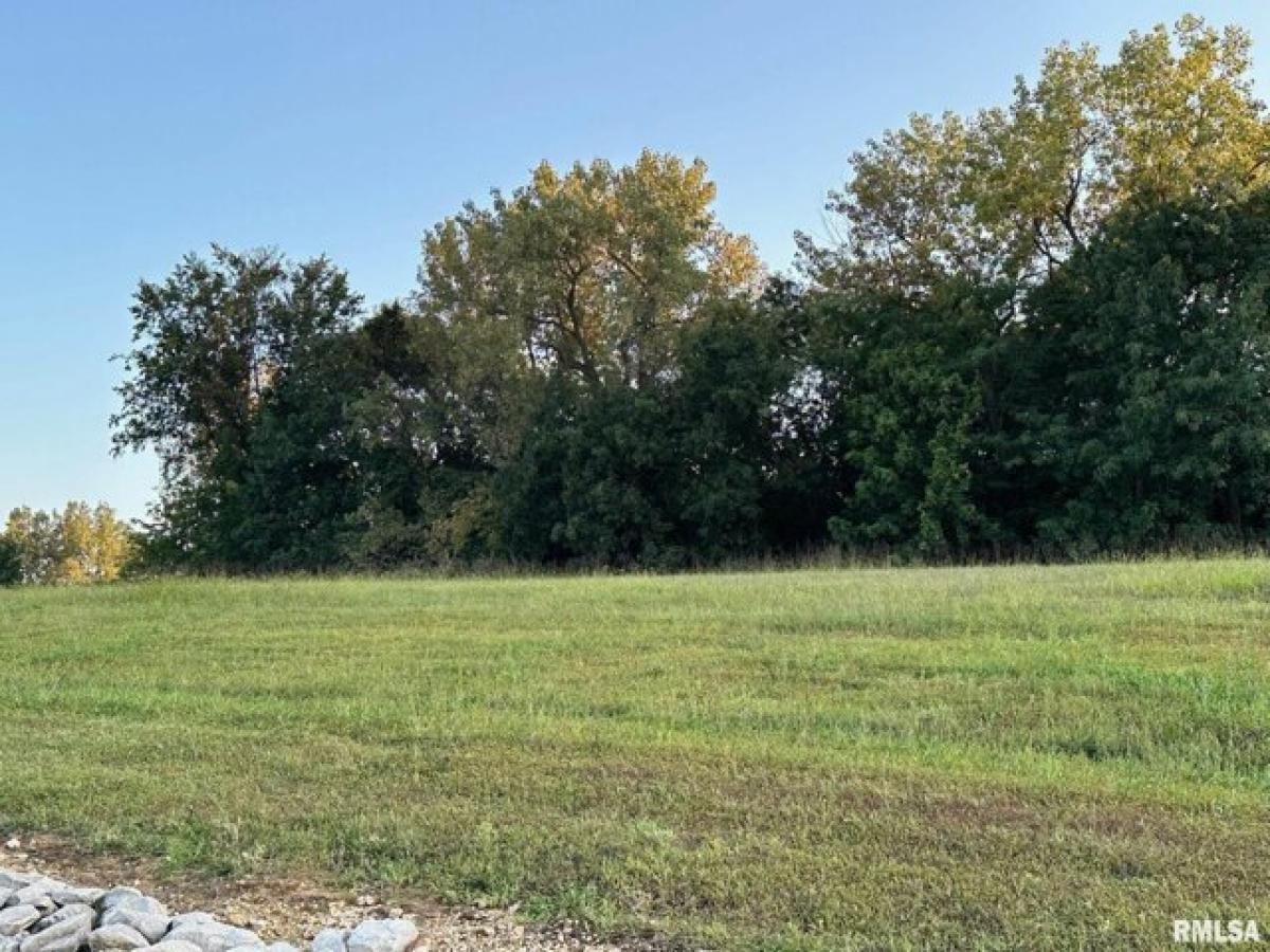 Picture of Residential Land For Sale in Quincy, Illinois, United States