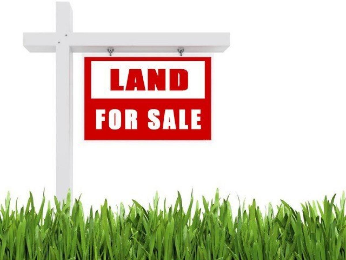 Picture of Residential Land For Sale in Coal City, Illinois, United States