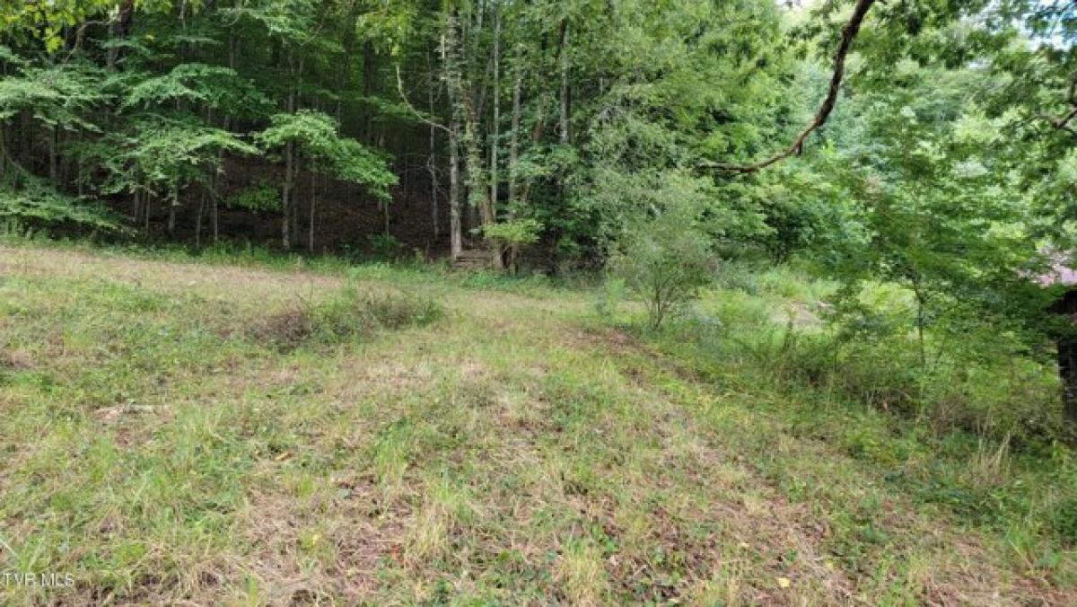 Picture of Residential Land For Sale in Mountain City, Tennessee, United States