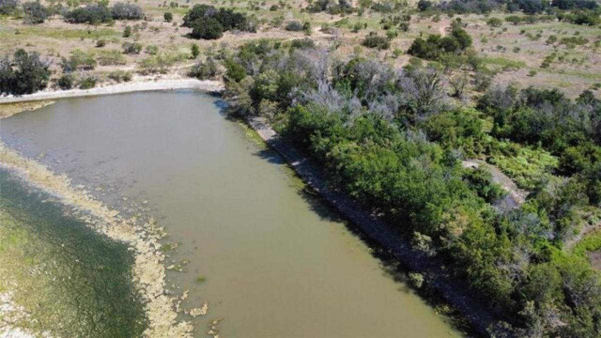 Picture of Residential Land For Sale in Gustine, Texas, United States