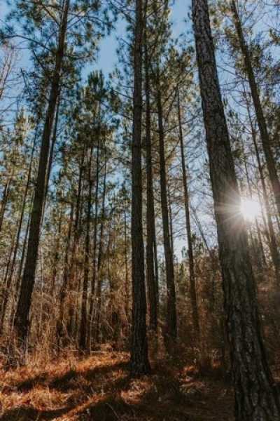 Residential Land For Sale in Dublin, Georgia