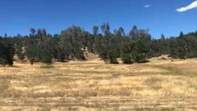 Residential Land For Sale in Douglas City, California