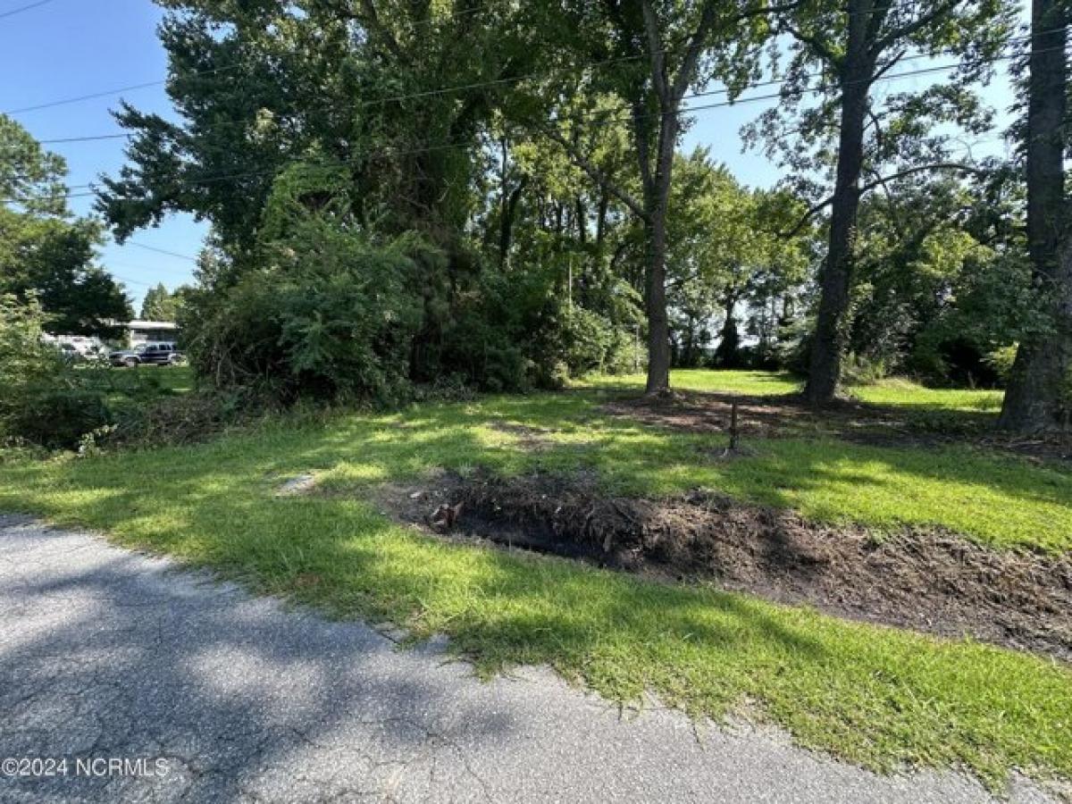 Picture of Residential Land For Sale in Belhaven, North Carolina, United States