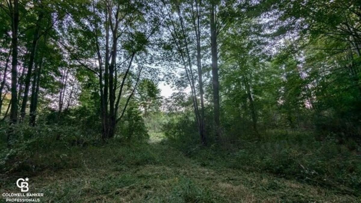 Picture of Residential Land For Sale in Emmett, Michigan, United States