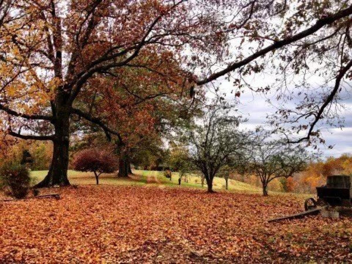 Picture of Home For Sale in Lynchburg, Tennessee, United States