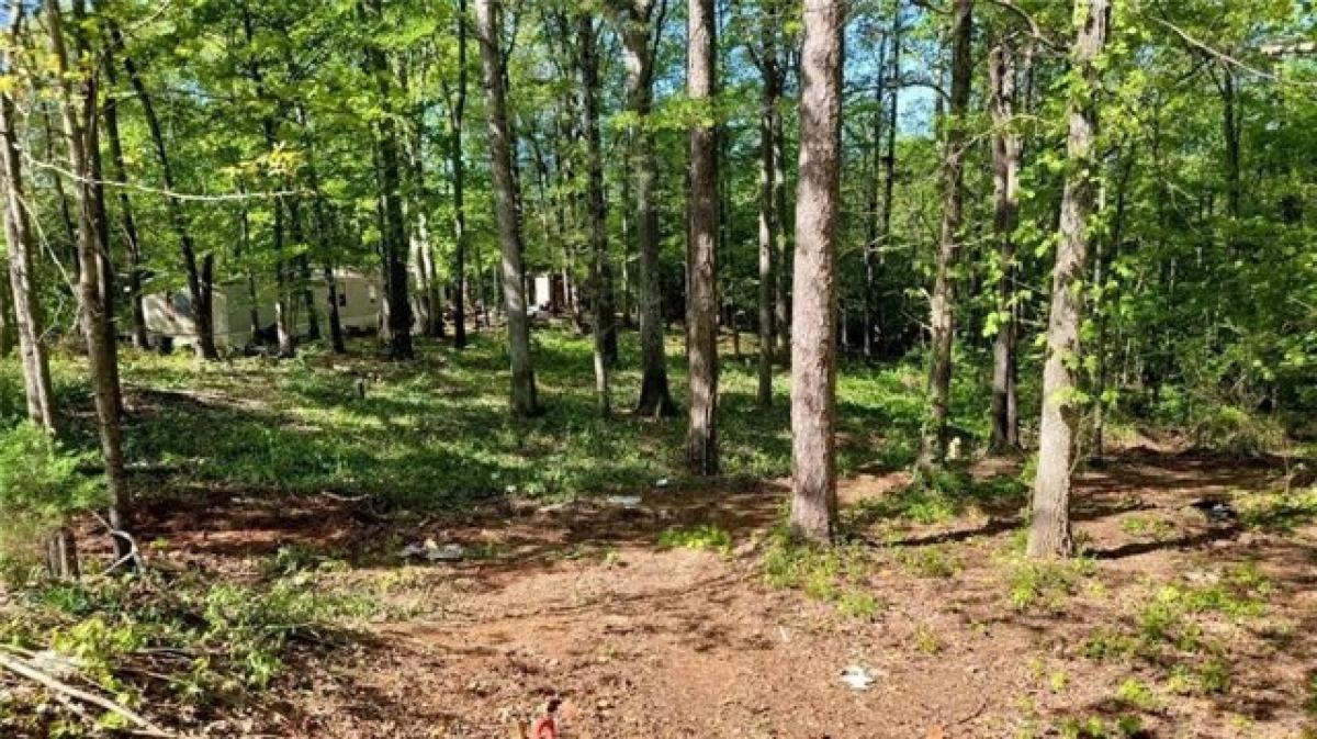 Picture of Residential Land For Sale in Temple, Georgia, United States