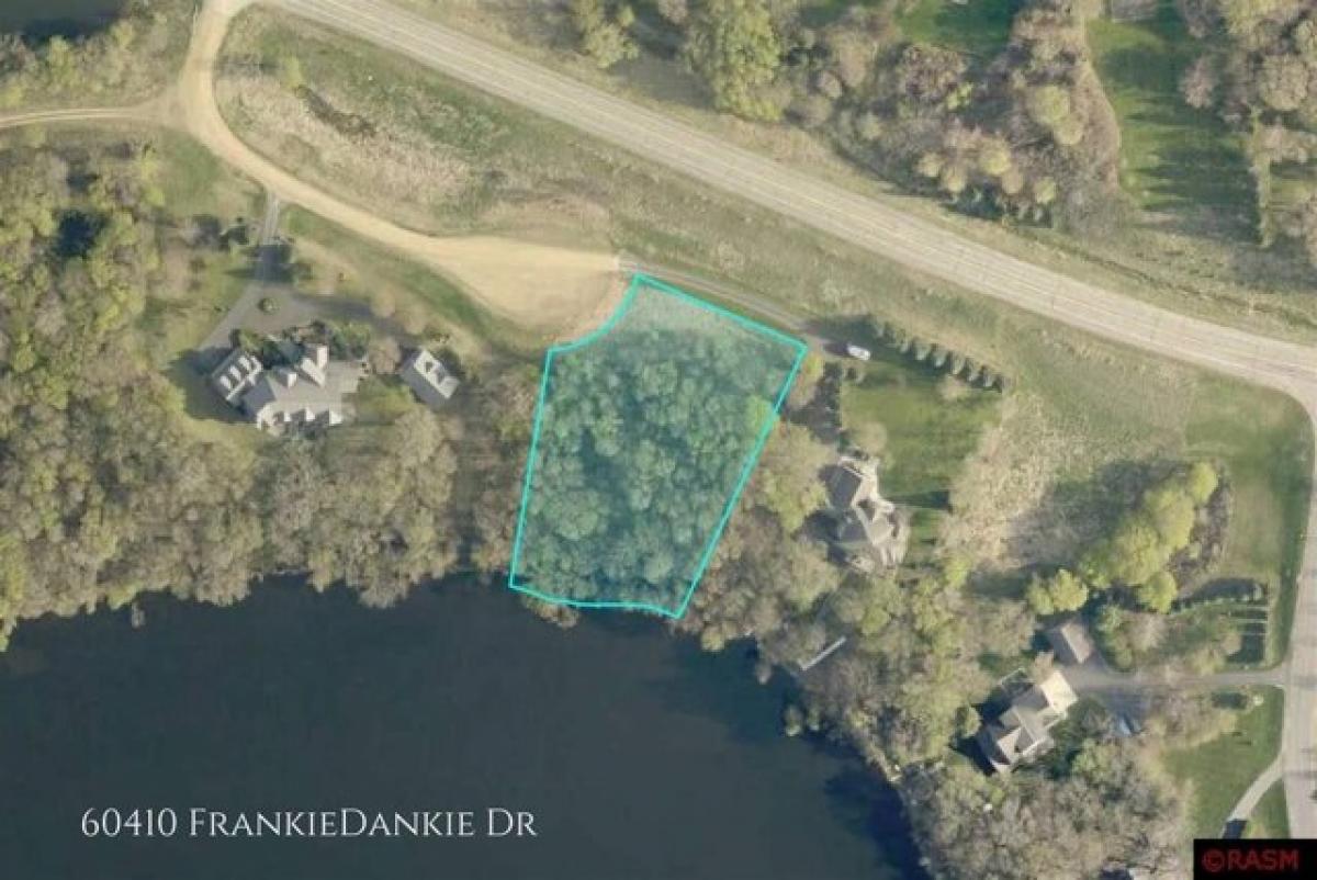 Picture of Residential Land For Sale in Madison Lake, Minnesota, United States