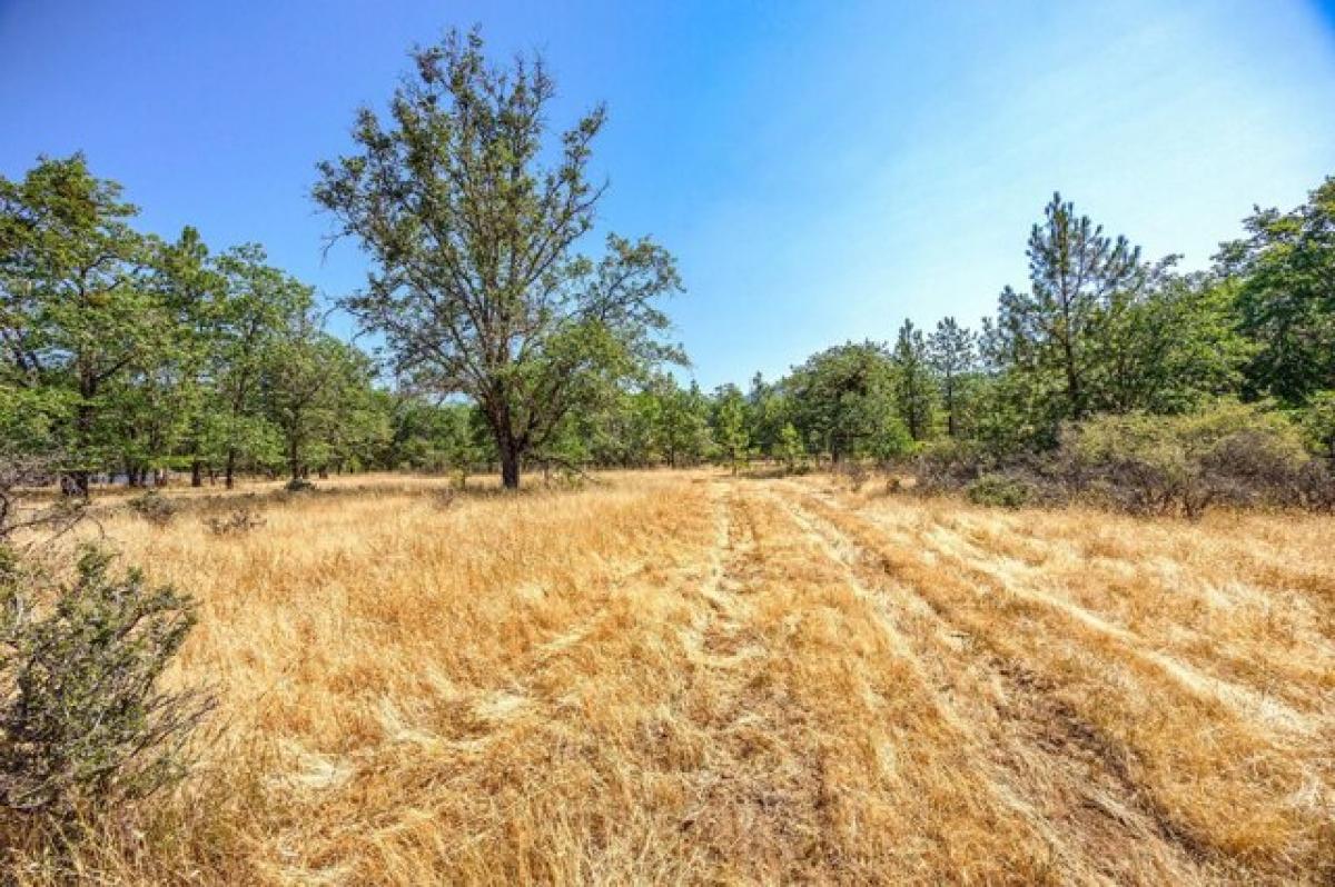 Picture of Residential Land For Sale in Grants Pass, Oregon, United States