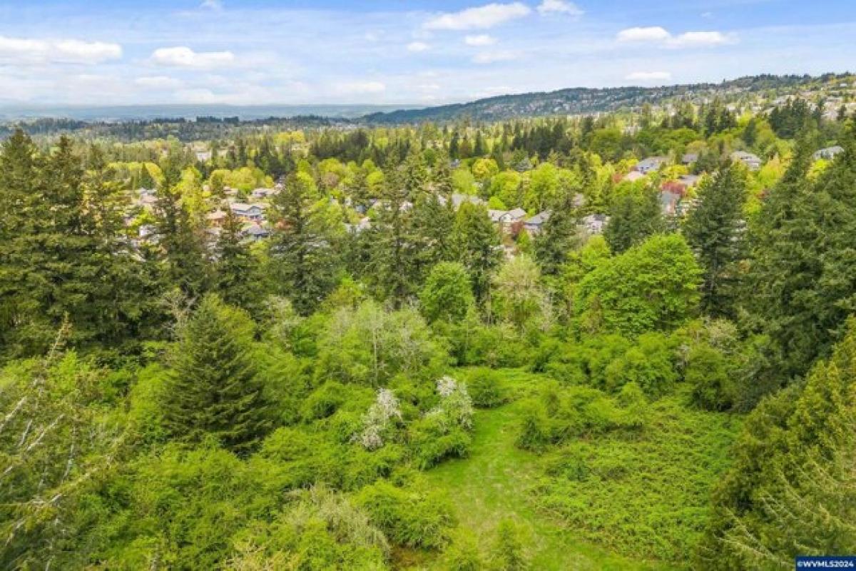 Picture of Residential Land For Sale in Portland, Oregon, United States